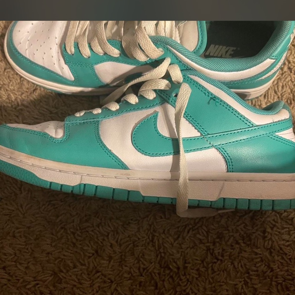 Nike Turquoise and White Low-Top Sneakers